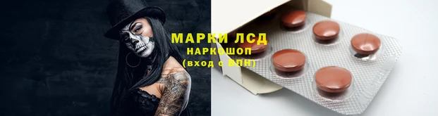 Альфа ПВП Аркадак