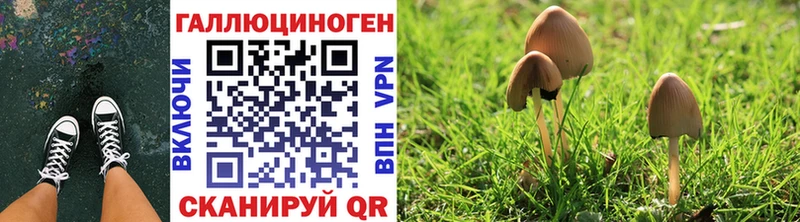 Псилоцибиновые грибы прущие грибы  Ивдель 