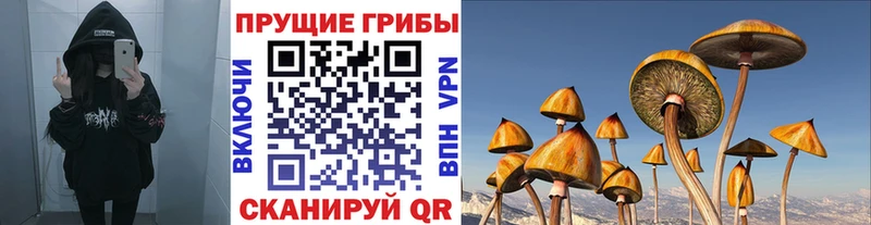 Псилоцибиновые грибы ЛСД Ивдель