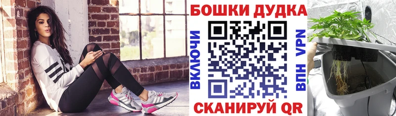 купить наркотик  Ивдель  нарко площадка формула  Конопля OG Kush 